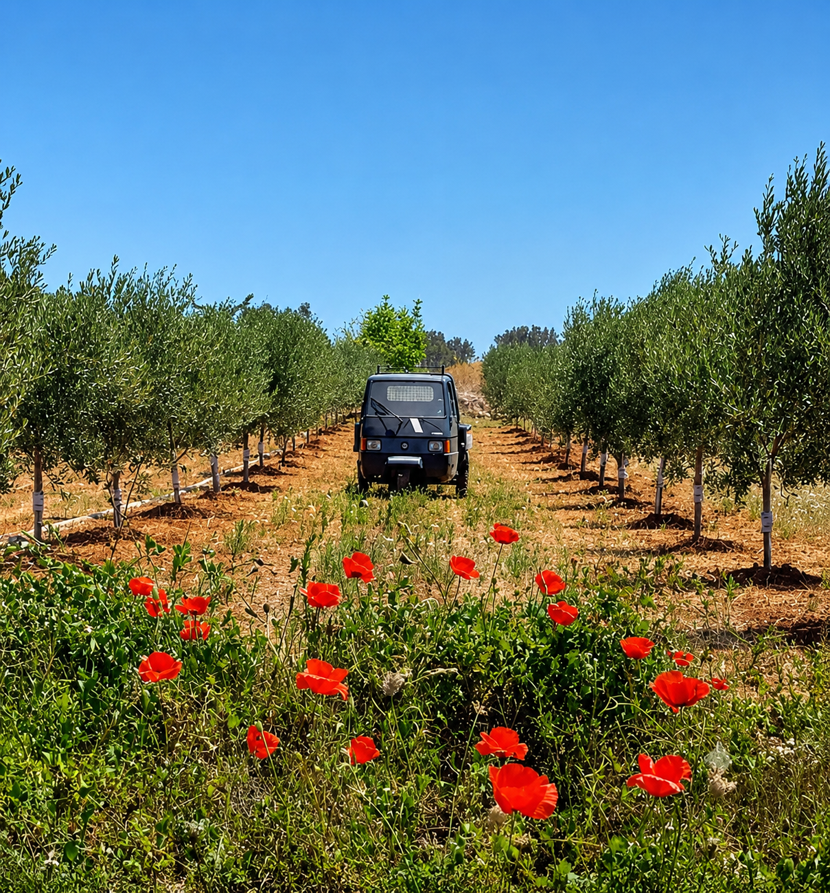 Campagne del Salento con ape car