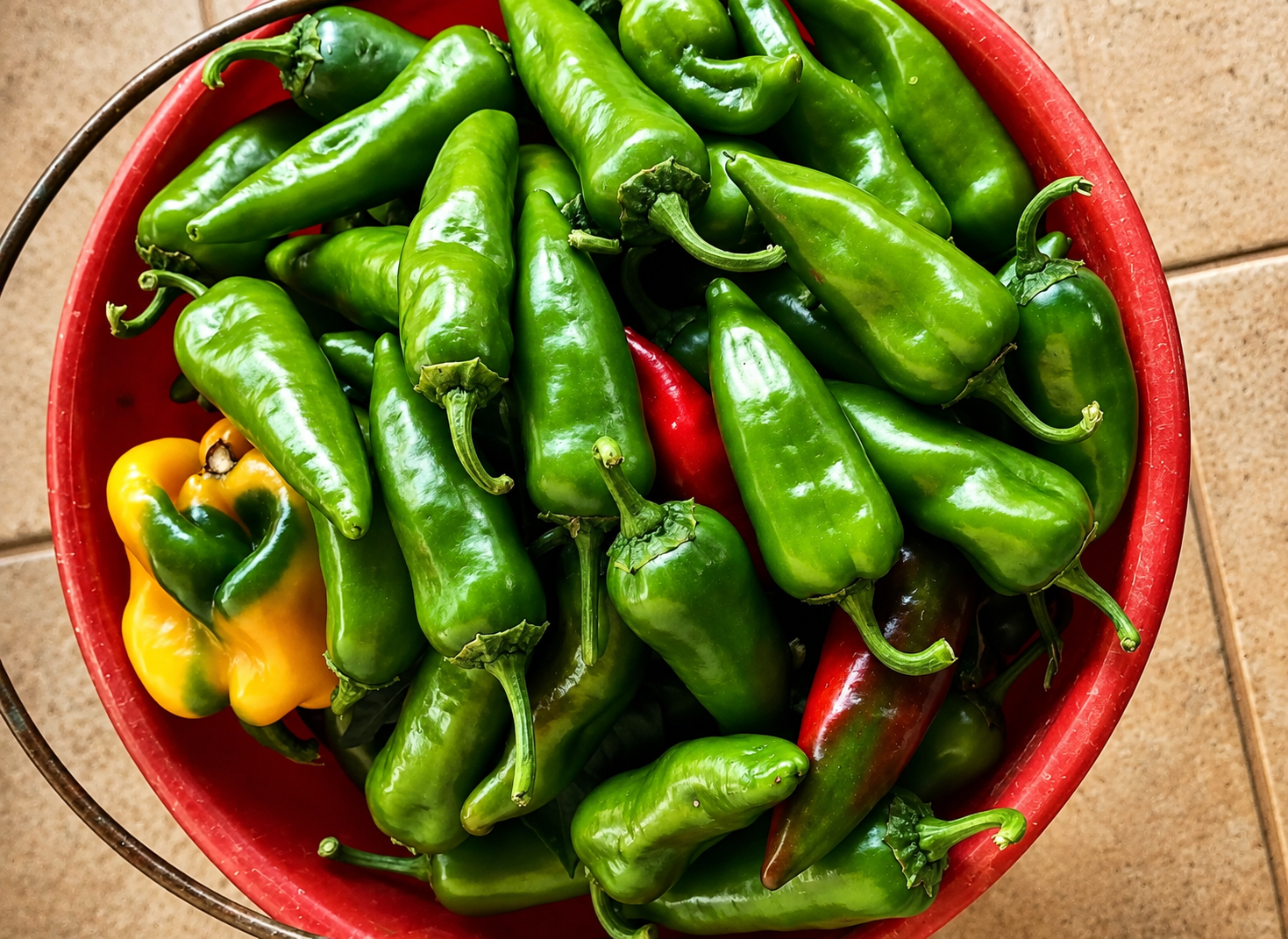 Peperoni